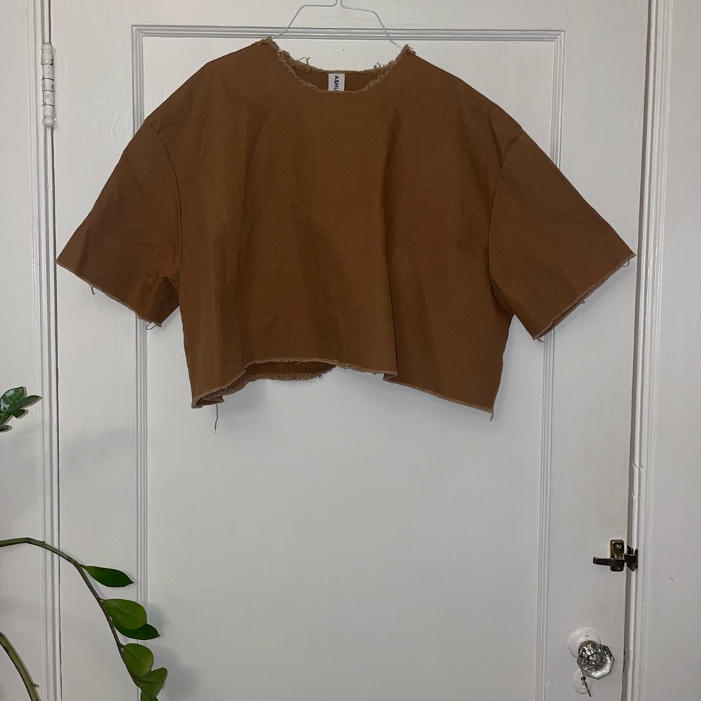 Ashley Rowe rust colored boxy cropped top!